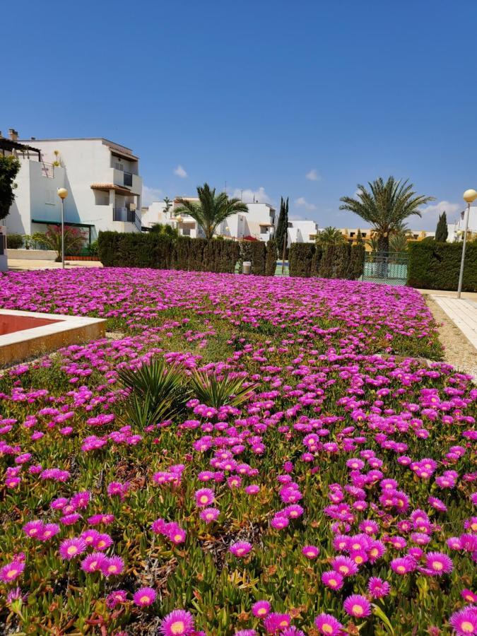 Apartamento Naturista En Primera Linea! Vera Eksteriør billede