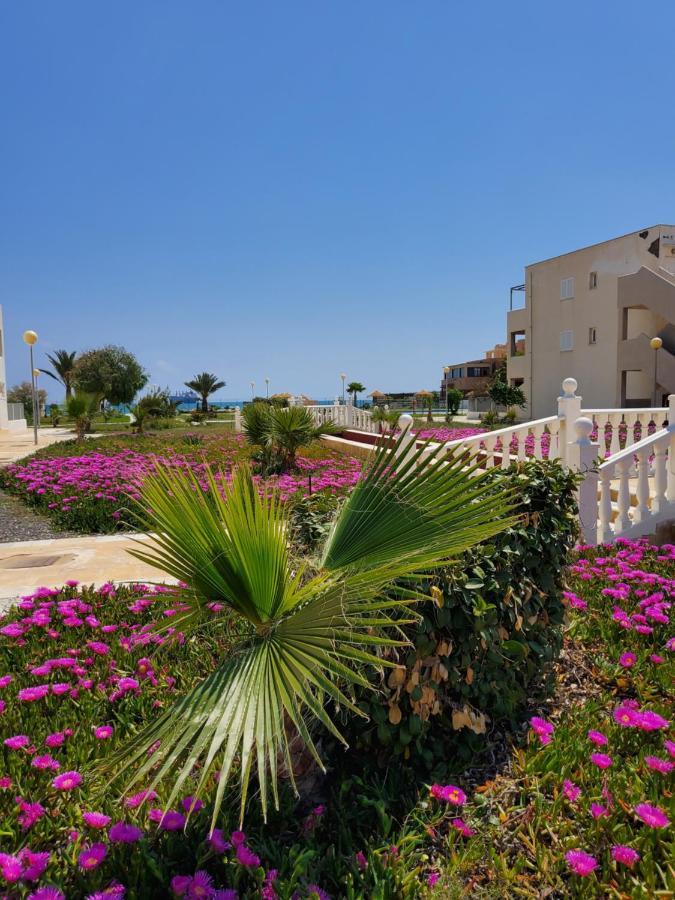 Apartamento Naturista En Primera Linea! Vera Eksteriør billede